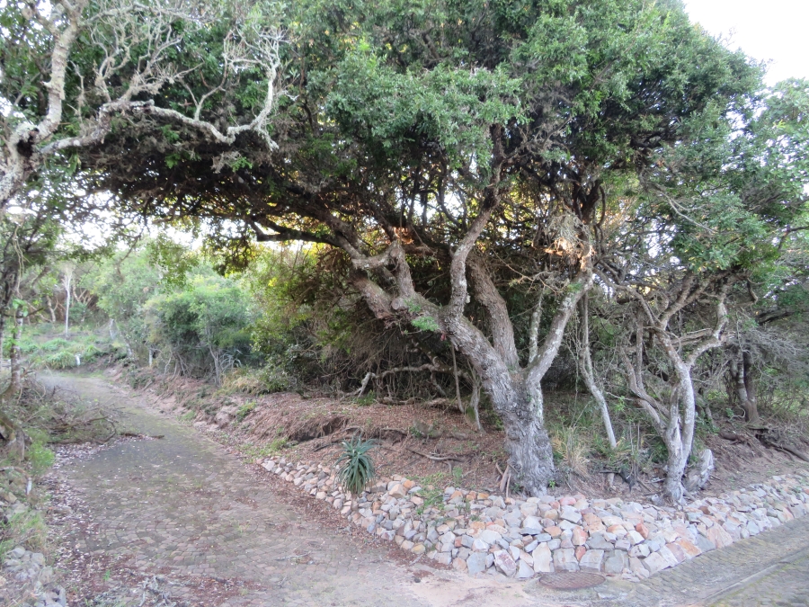 0 Bedroom Property for Sale in East Bank Eastern Cape